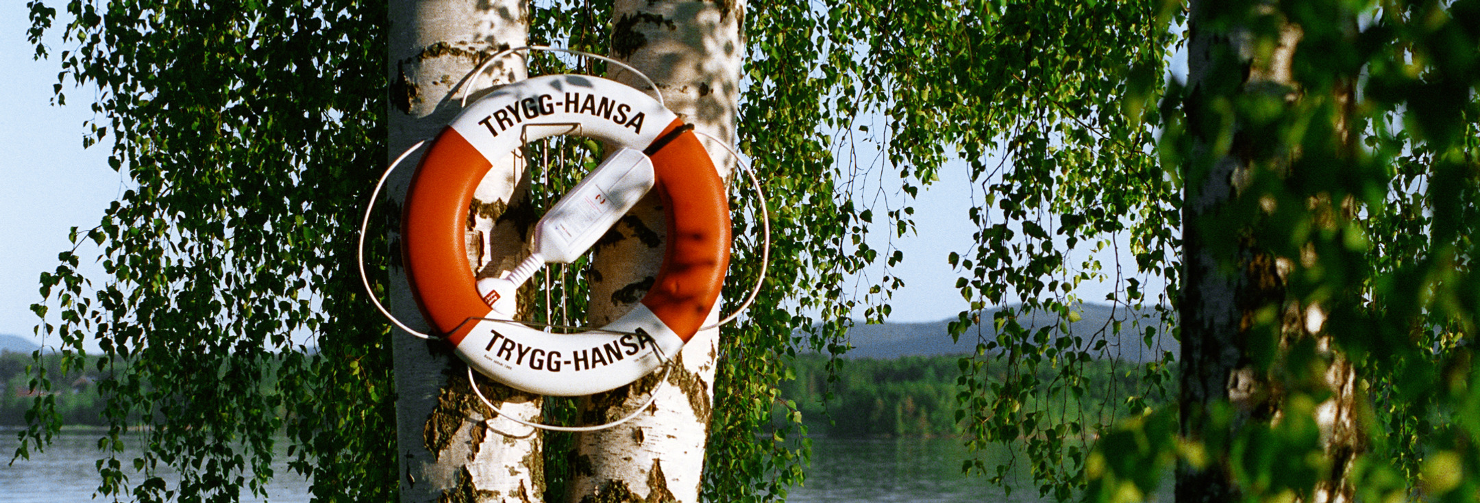 En livboj som hänger på ett träd intill ett vattendrag.