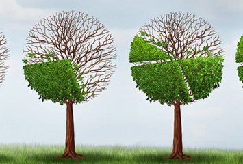 ”Avtalsförhandlingar kan inte bygga på vadslagning om kronkursen”