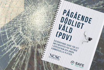 Pågående dödligt våld (PDV)