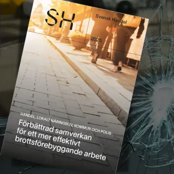 Ett krossat glasfönster med en bok på.