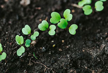 Checklista vid miljöpåståenden i reklam